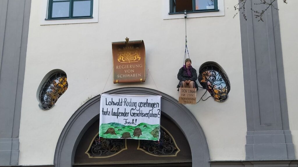 Lohwald-Rodung genehmigen trotz laufender Gerichtsverfahren? Frech